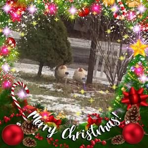 Meet your Posher, Artimisha